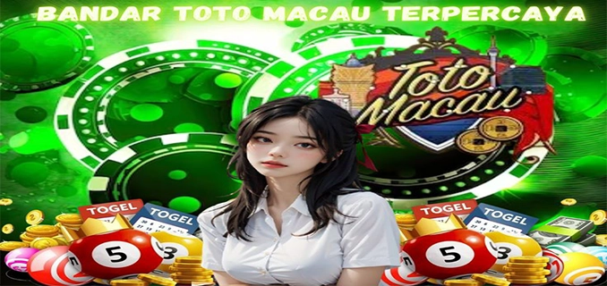 Totomaster Hk